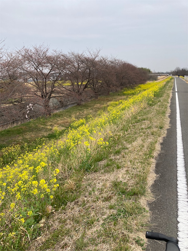 f:id:masaru-arameya:20220326132454j:image f:id:masaru-arameya:20220326132454j:image
