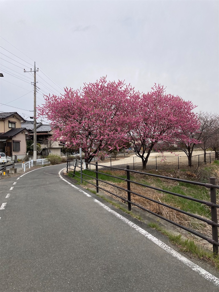 f:id:masaru-arameya:20220326133701j:image f:id:masaru-arameya:20220326133701j:image