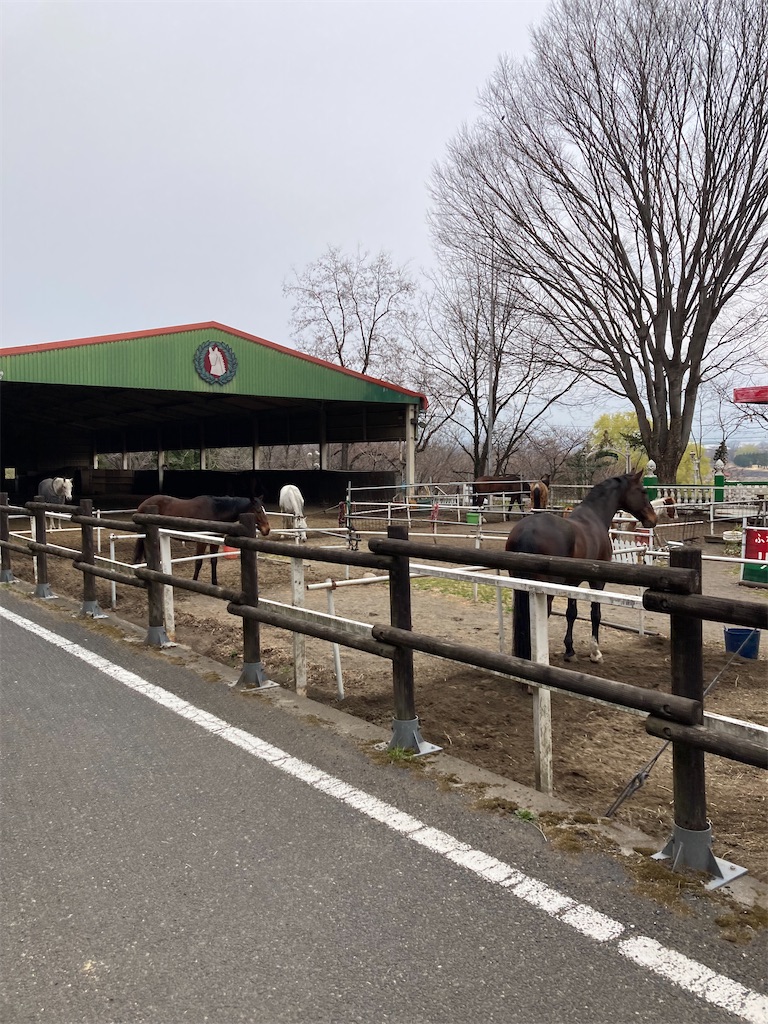 f:id:masaru-arameya:20220326133915j:image f:id:masaru-arameya:20220326133915j:image