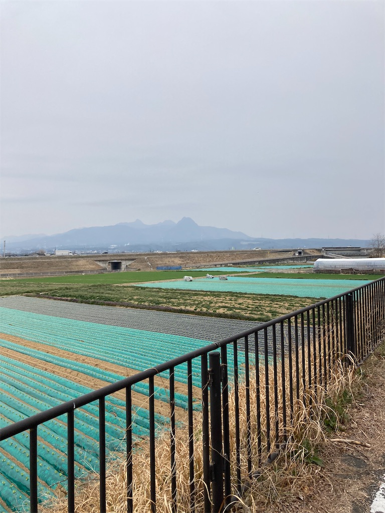 f:id:masaru-arameya:20220326133954j:image f:id:masaru-arameya:20220326133954j:image