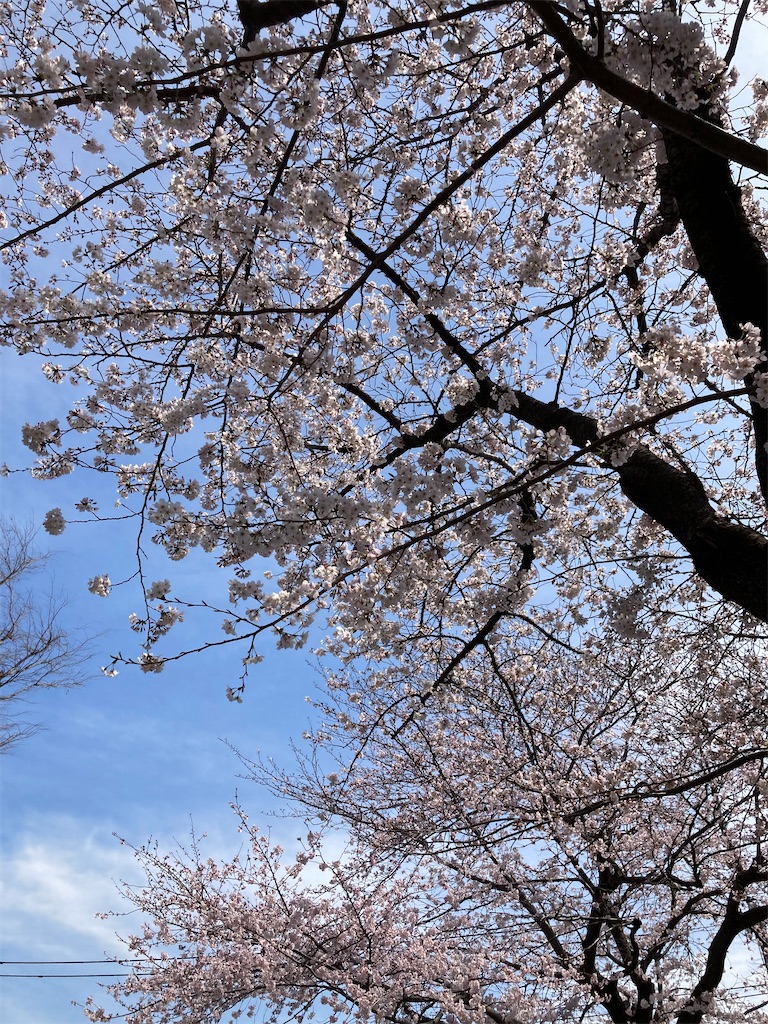 f:id:masaru-arameya:20220329065156j:image f:id:masaru-arameya:20220329065156j:image