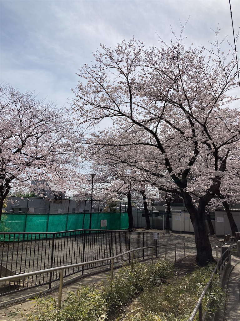 f:id:masaru-arameya:20220329065159j:image f:id:masaru-arameya:20220329065159j:image