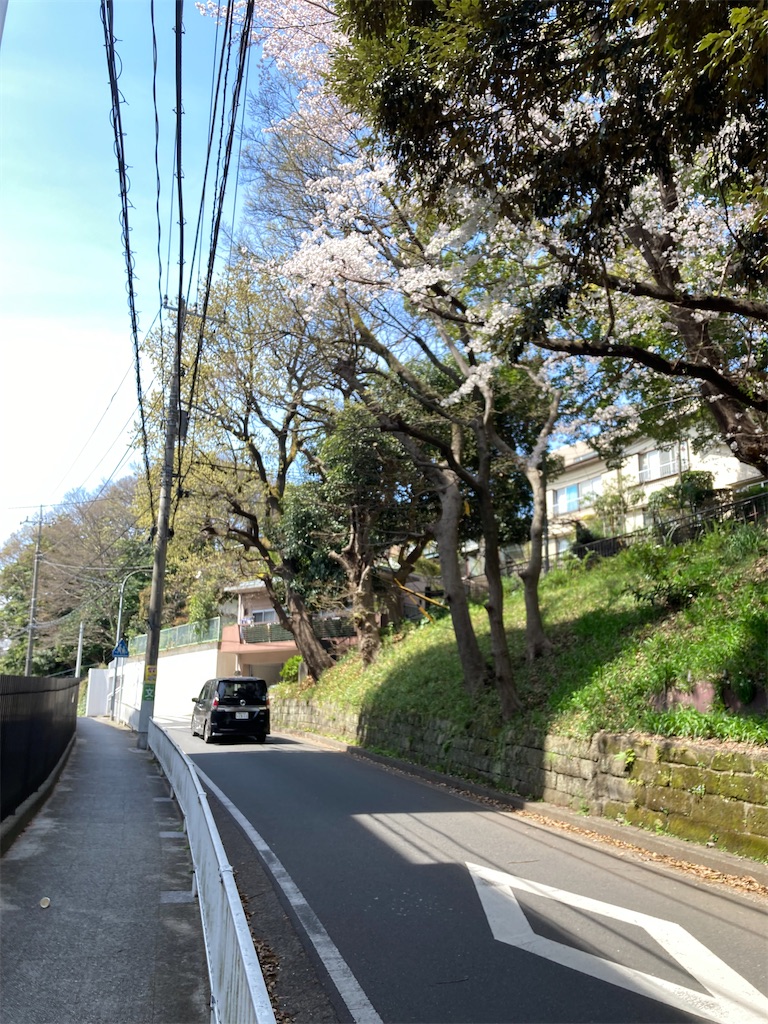 f:id:masaru-arameya:20220329073243j:image f:id:masaru-arameya:20220329073243j:image