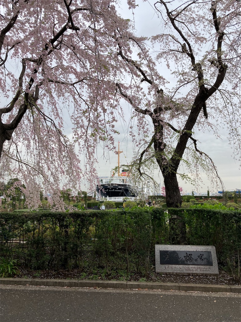 f:id:masaru-arameya:20220329125710j:image f:id:masaru-arameya:20220329125710j:image