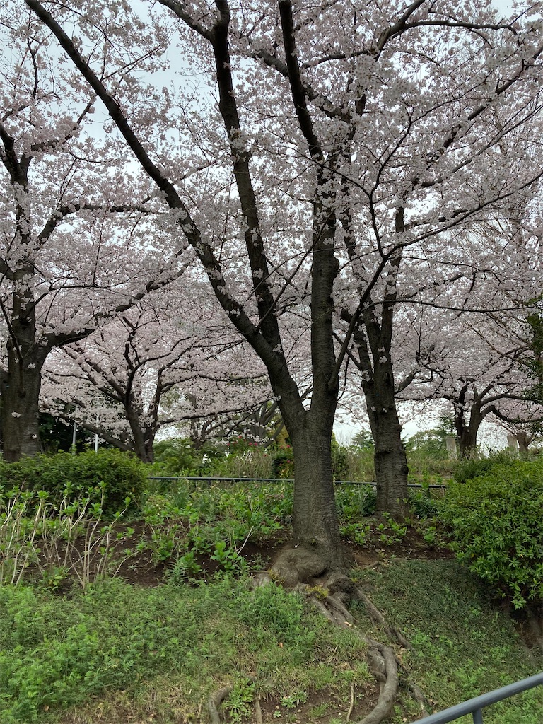 f:id:masaru-arameya:20220329125738j:image f:id:masaru-arameya:20220329125738j:image