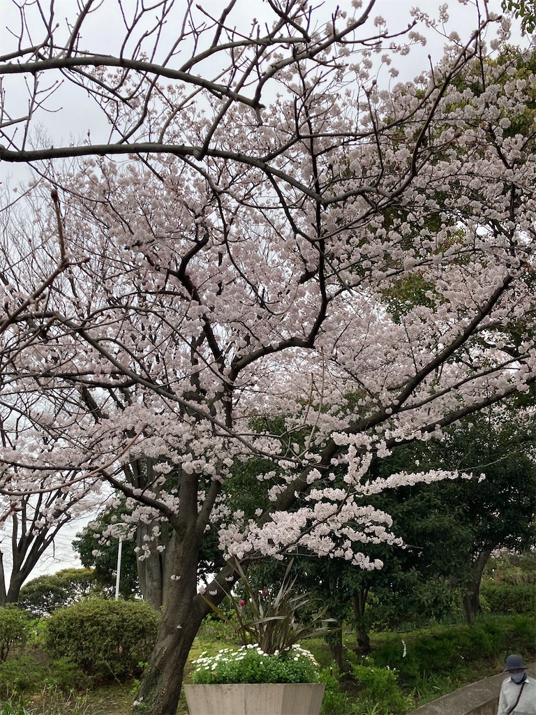 f:id:masaru-arameya:20220329125742j:image f:id:masaru-arameya:20220329125742j:image