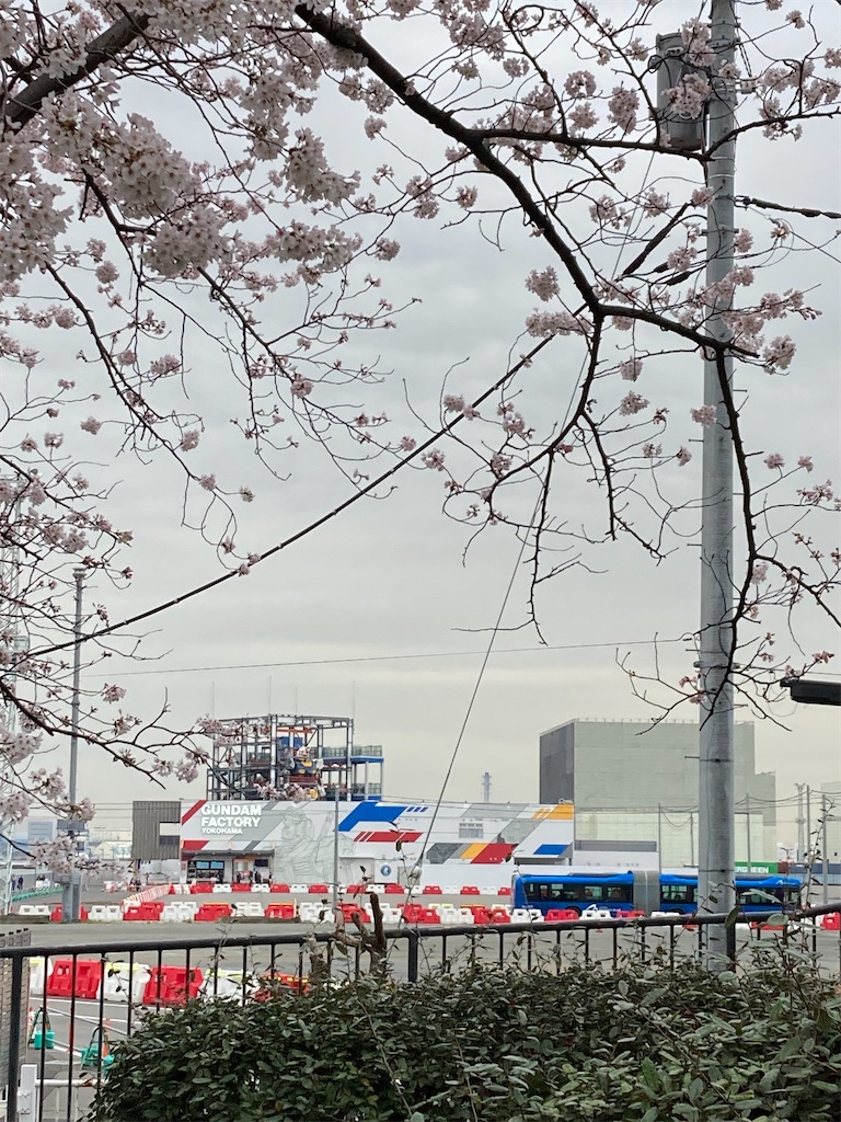 f:id:masaru-arameya:20220329125747j:image f:id:masaru-arameya:20220329125747j:image