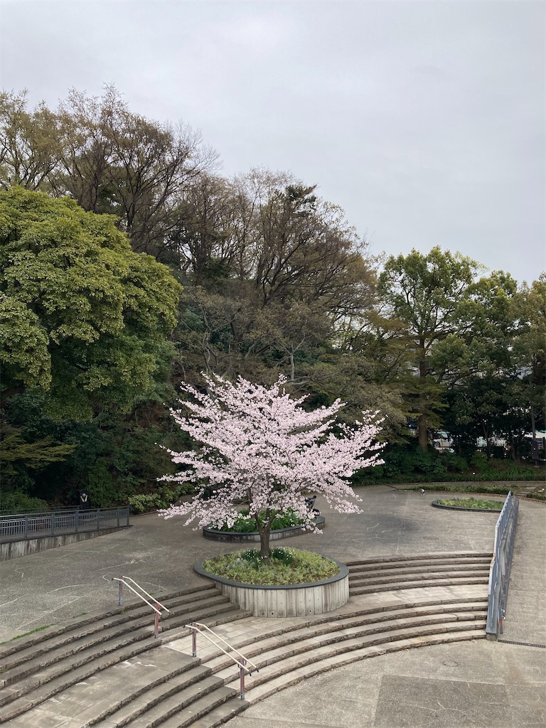 f:id:masaru-arameya:20220329125846j:image f:id:masaru-arameya:20220329125846j:image