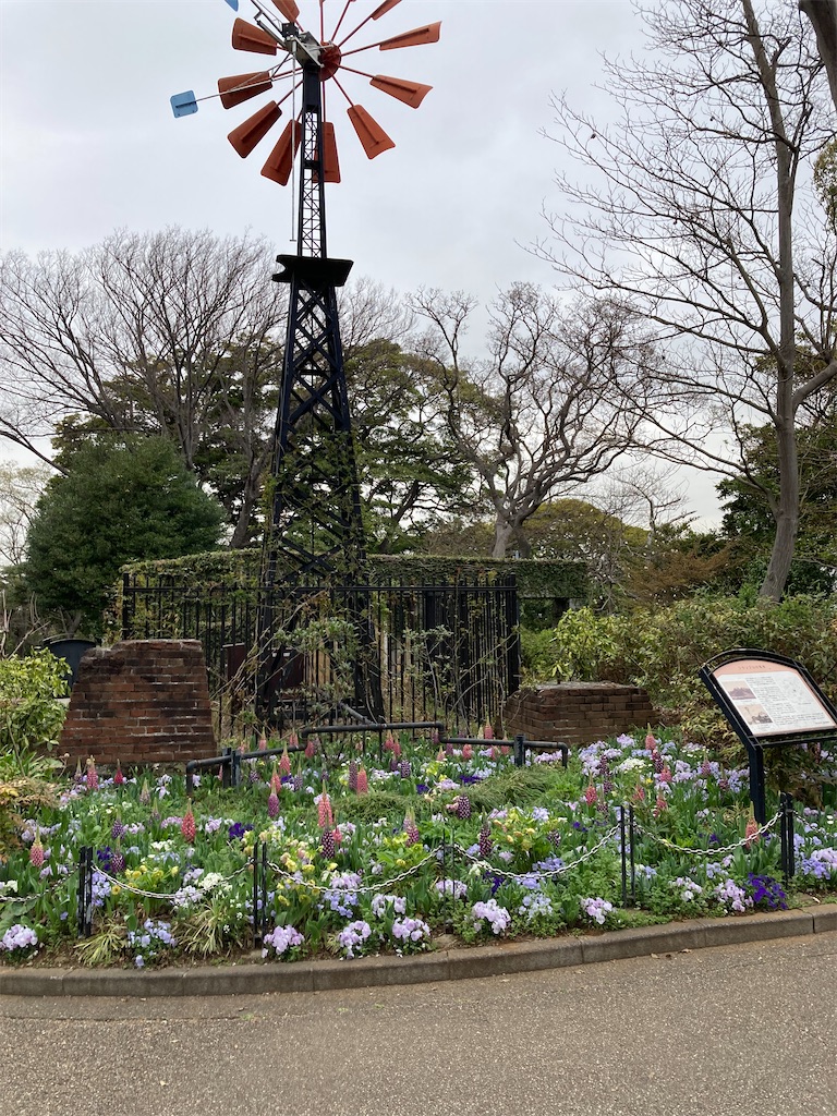 f:id:masaru-arameya:20220329125919j:image f:id:masaru-arameya:20220329125919j:image