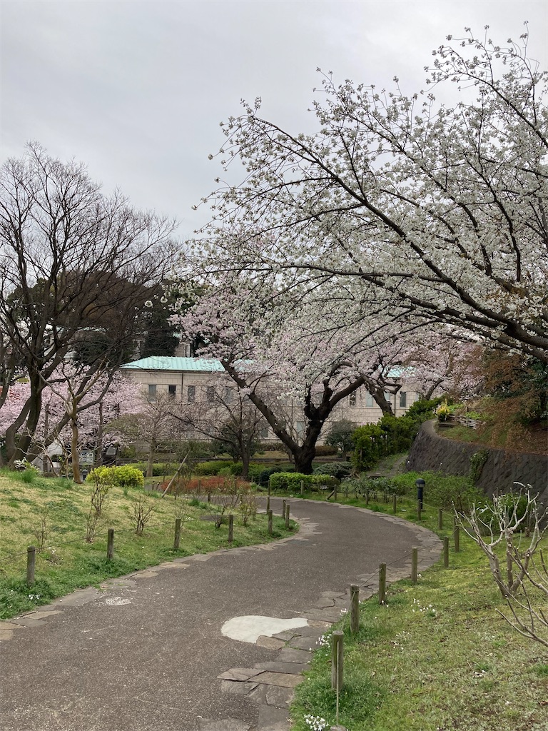 f:id:masaru-arameya:20220329130014j:image f:id:masaru-arameya:20220329130014j:image