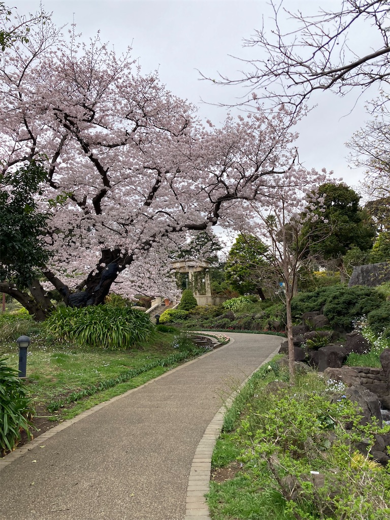 f:id:masaru-arameya:20220329130052j:image f:id:masaru-arameya:20220329130052j:image
