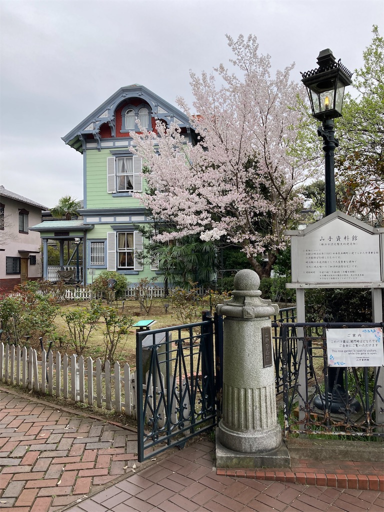 f:id:masaru-arameya:20220329130131j:image f:id:masaru-arameya:20220329130131j:image