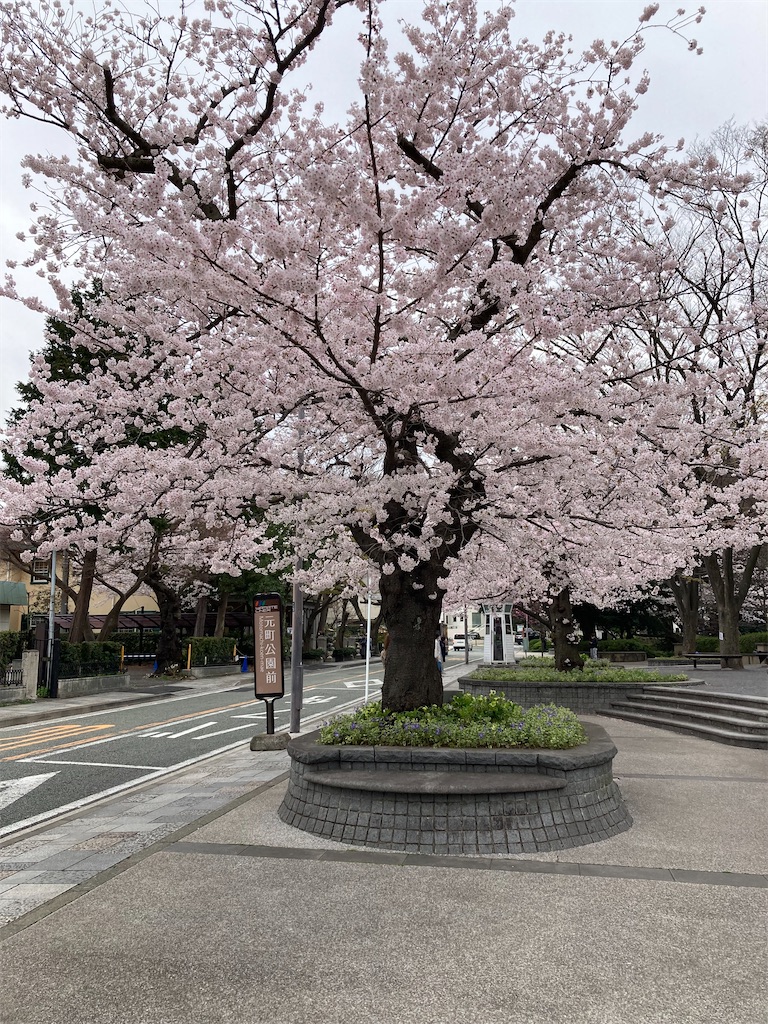 f:id:masaru-arameya:20220329201220j:image f:id:masaru-arameya:20220329201220j:image
