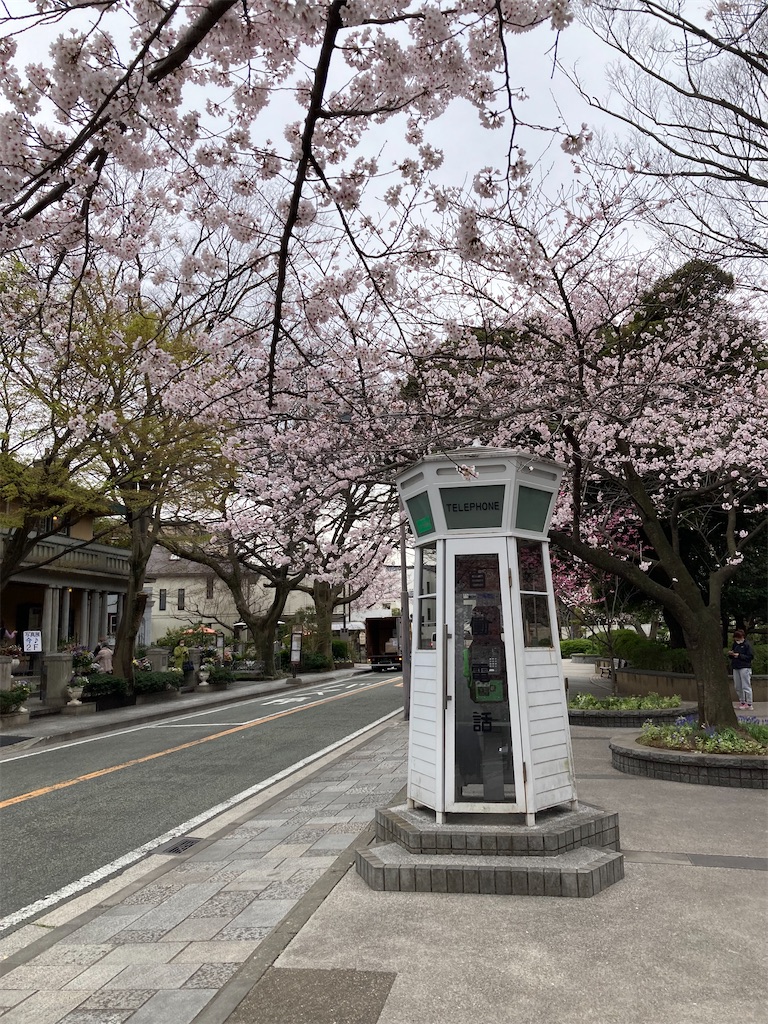 f:id:masaru-arameya:20220329201223j:image f:id:masaru-arameya:20220329201223j:image