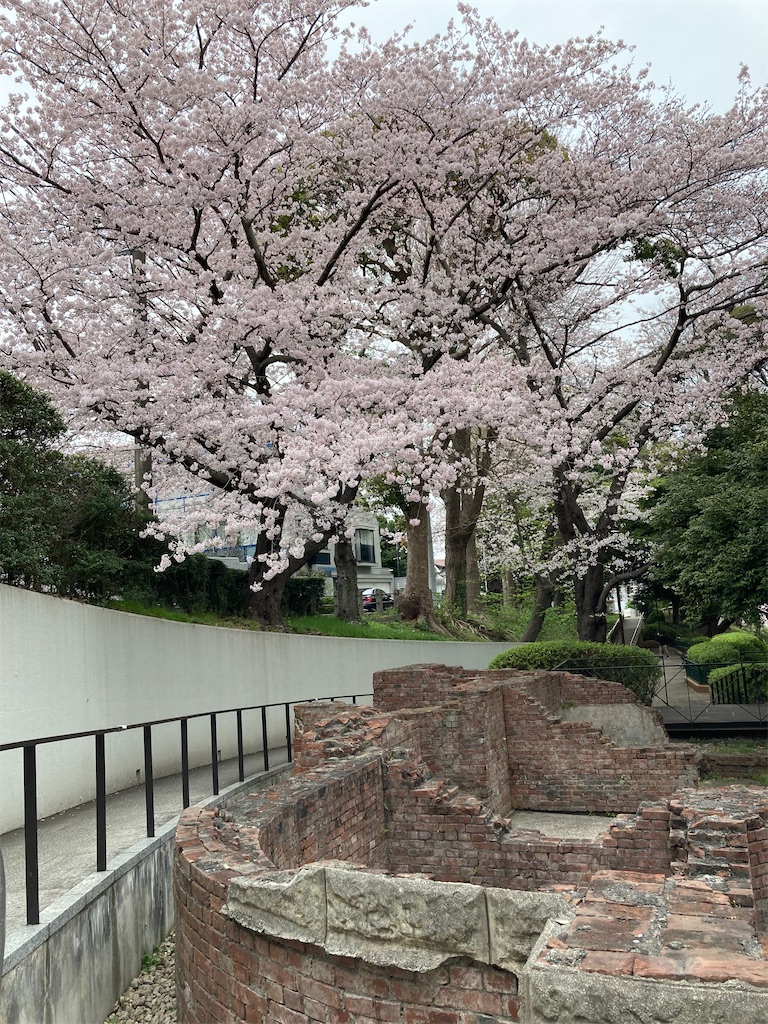 f:id:masaru-arameya:20220329201258j:image f:id:masaru-arameya:20220329201258j:image