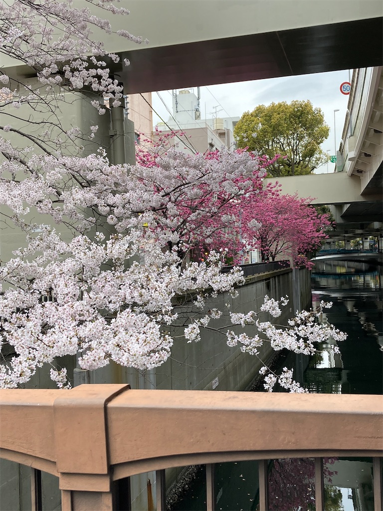 f:id:masaru-arameya:20220329201434j:image f:id:masaru-arameya:20220329201434j:image