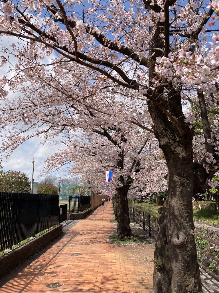 f:id:masaru-arameya:20220330140338j:image f:id:masaru-arameya:20220330140338j:image