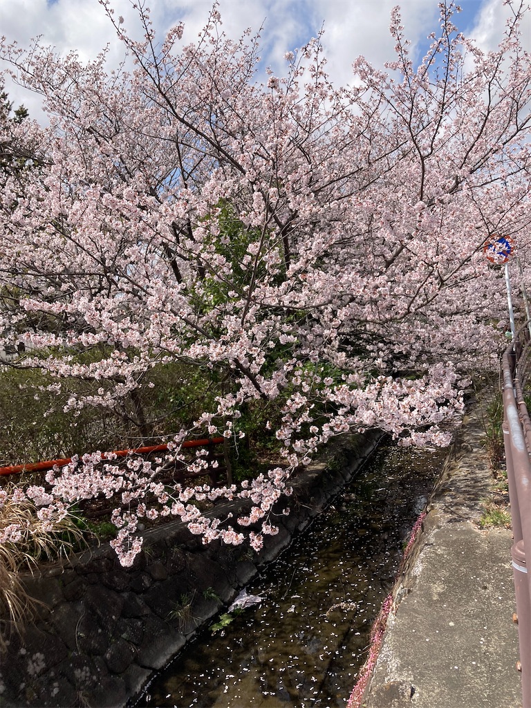 f:id:masaru-arameya:20220330140415j:image f:id:masaru-arameya:20220330140415j:image