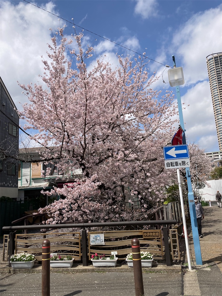 f:id:masaru-arameya:20220330140418j:image f:id:masaru-arameya:20220330140418j:image