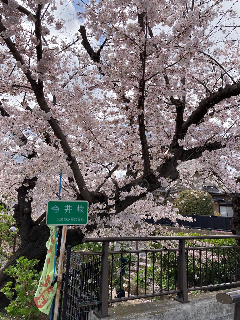 f:id:masaru-arameya:20220330140442j:image f:id:masaru-arameya:20220330140442j:image