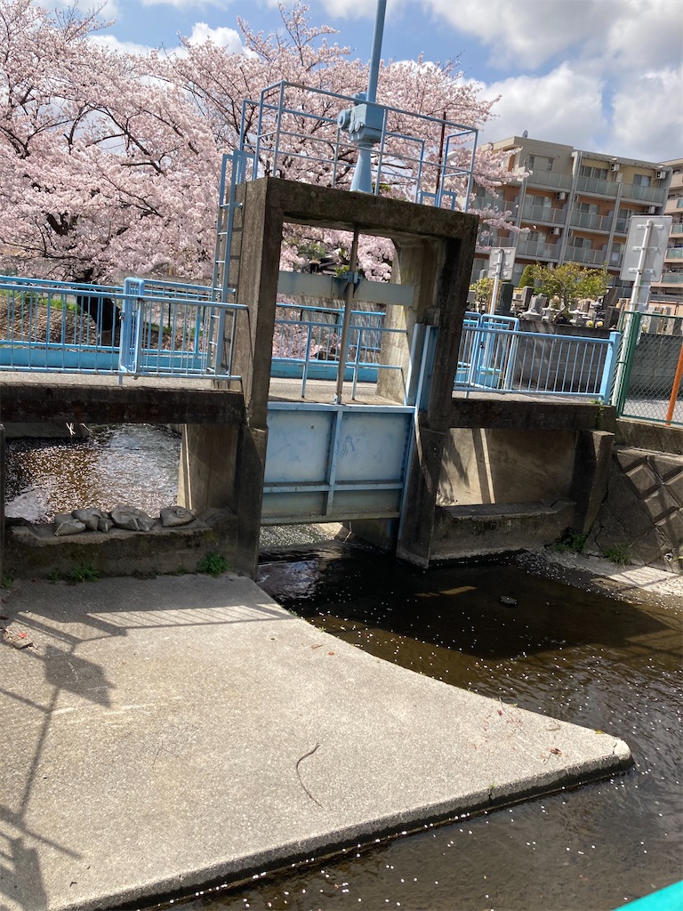 f:id:masaru-arameya:20220330140445j:image f:id:masaru-arameya:20220330140445j:image