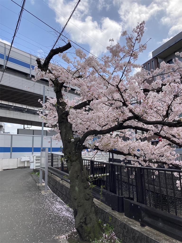 f:id:masaru-arameya:20220330140620j:image f:id:masaru-arameya:20220330140620j:image