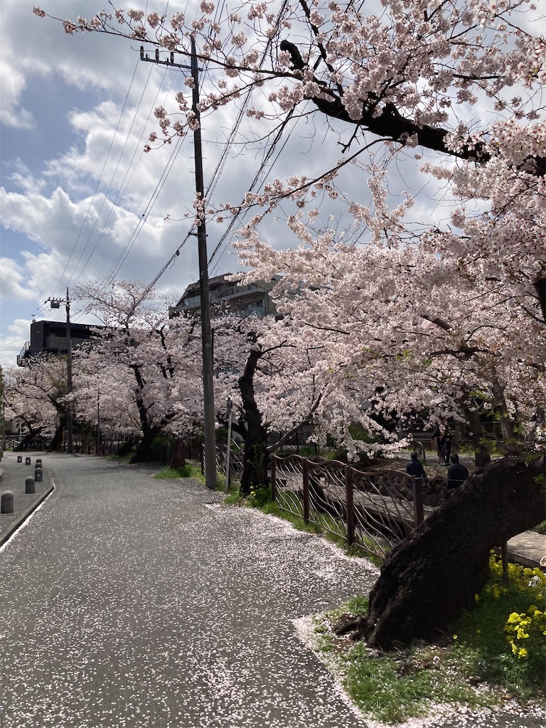 f:id:masaru-arameya:20220330140623j:image f:id:masaru-arameya:20220330140623j:image