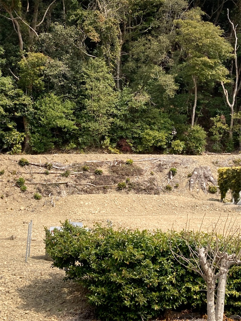 f:id:masaru-arameya:20220401183618j:image f:id:masaru-arameya:20220401183618j:image
