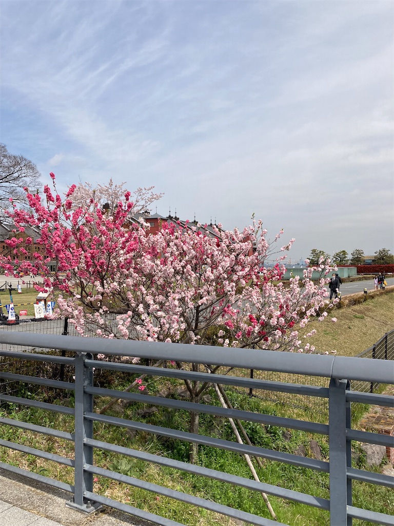 f:id:masaru-arameya:20220401214410j:image f:id:masaru-arameya:20220401214410j:image