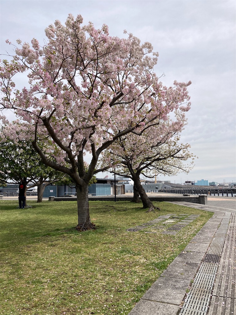 f:id:masaru-arameya:20220401214426j:image f:id:masaru-arameya:20220401214426j:image