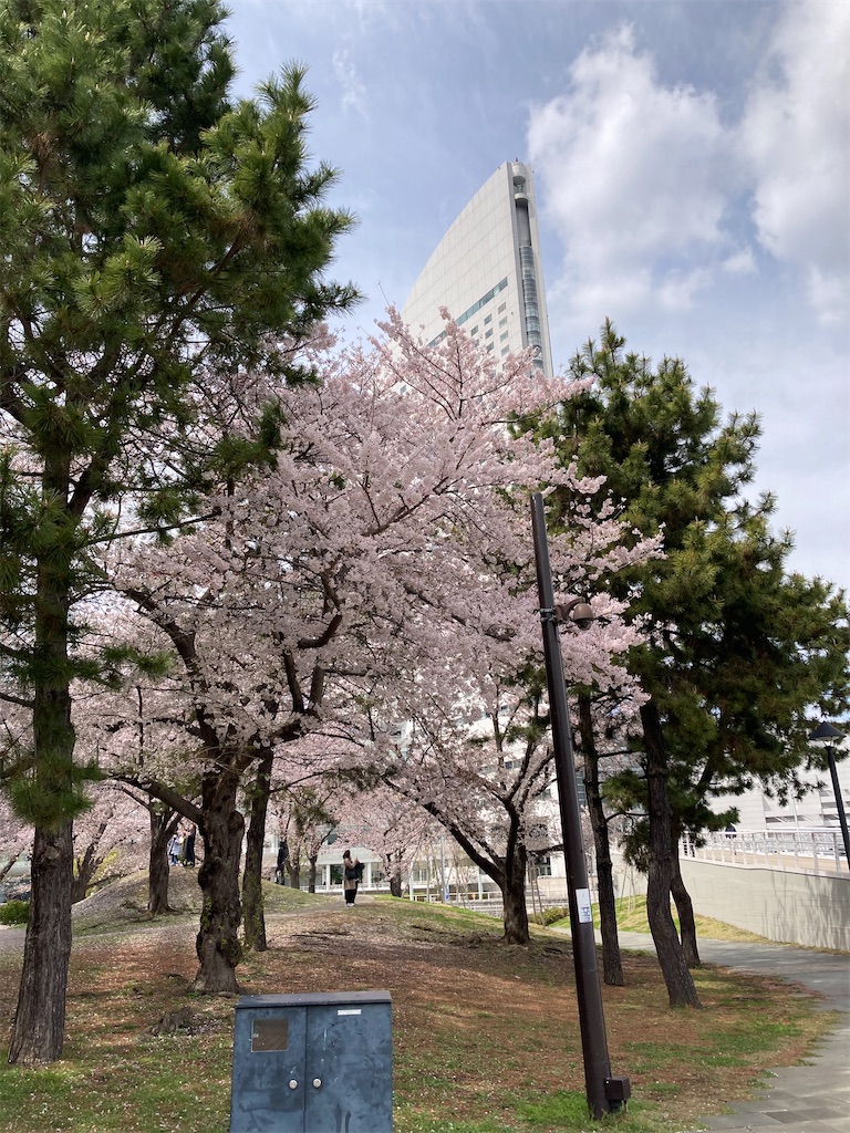 f:id:masaru-arameya:20220401214603j:image f:id:masaru-arameya:20220401214603j:image