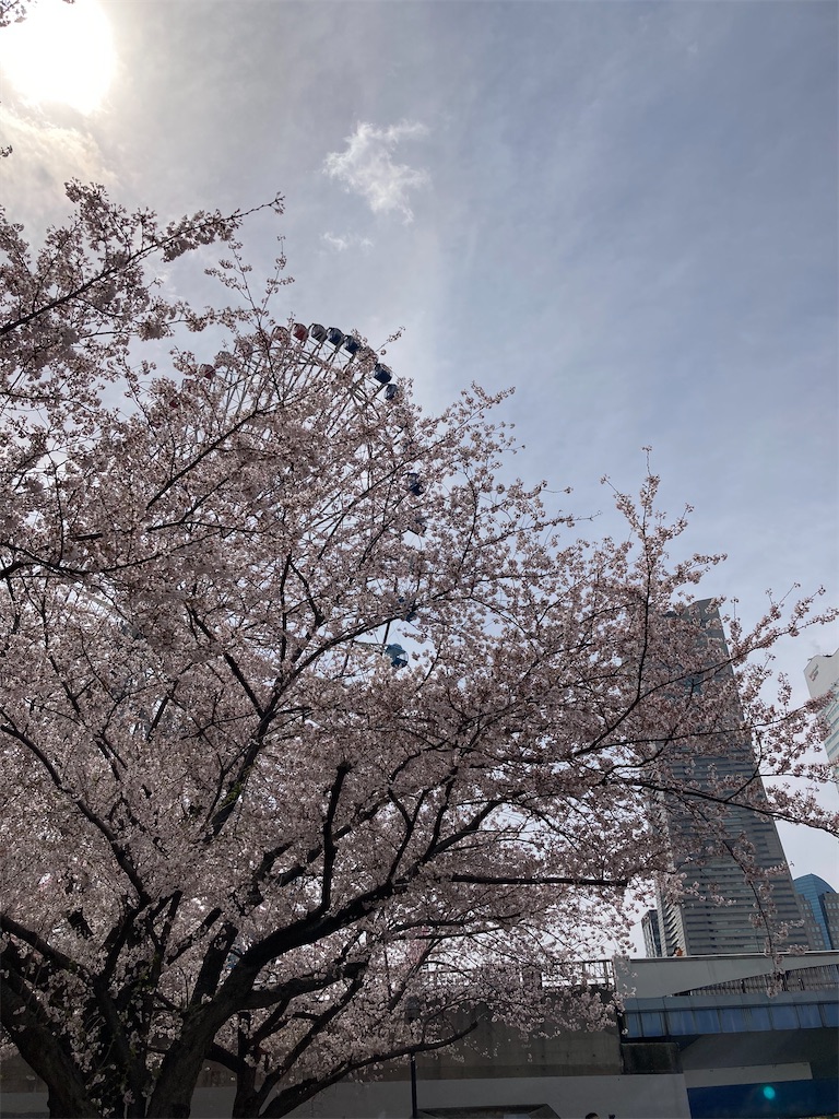 f:id:masaru-arameya:20220401214607j:image f:id:masaru-arameya:20220401214607j:image