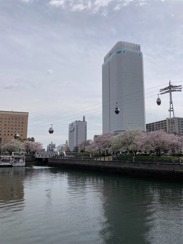 f:id:masaru-arameya:20220401214640j:image f:id:masaru-arameya:20220401214640j:image