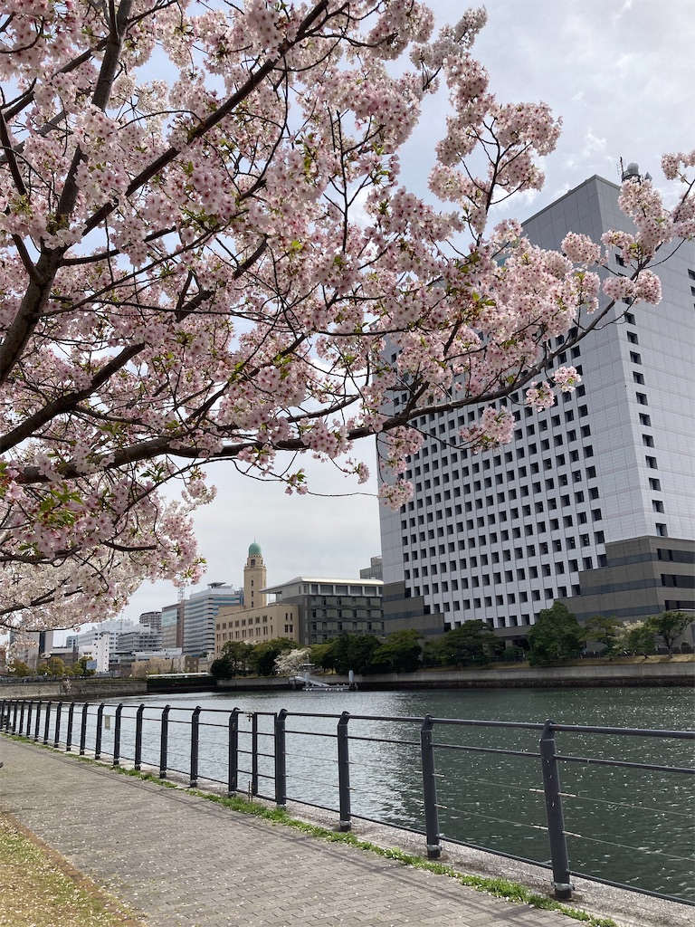 f:id:masaru-arameya:20220401214712j:image f:id:masaru-arameya:20220401214712j:image