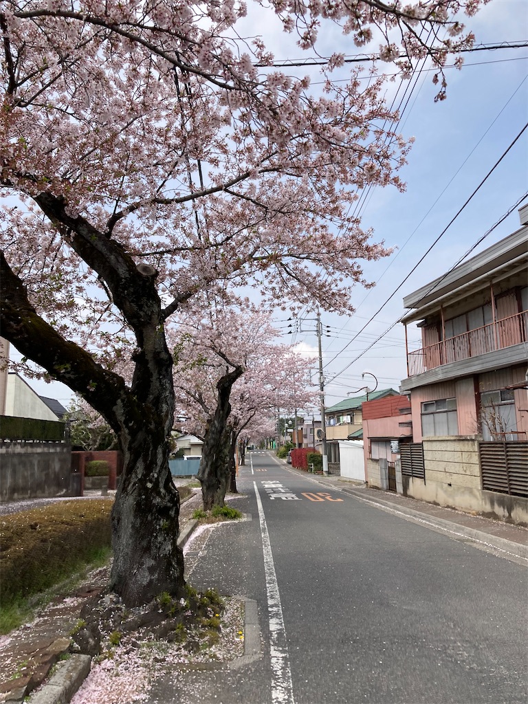 f:id:masaru-arameya:20220408210451j:image f:id:masaru-arameya:20220408210451j:image