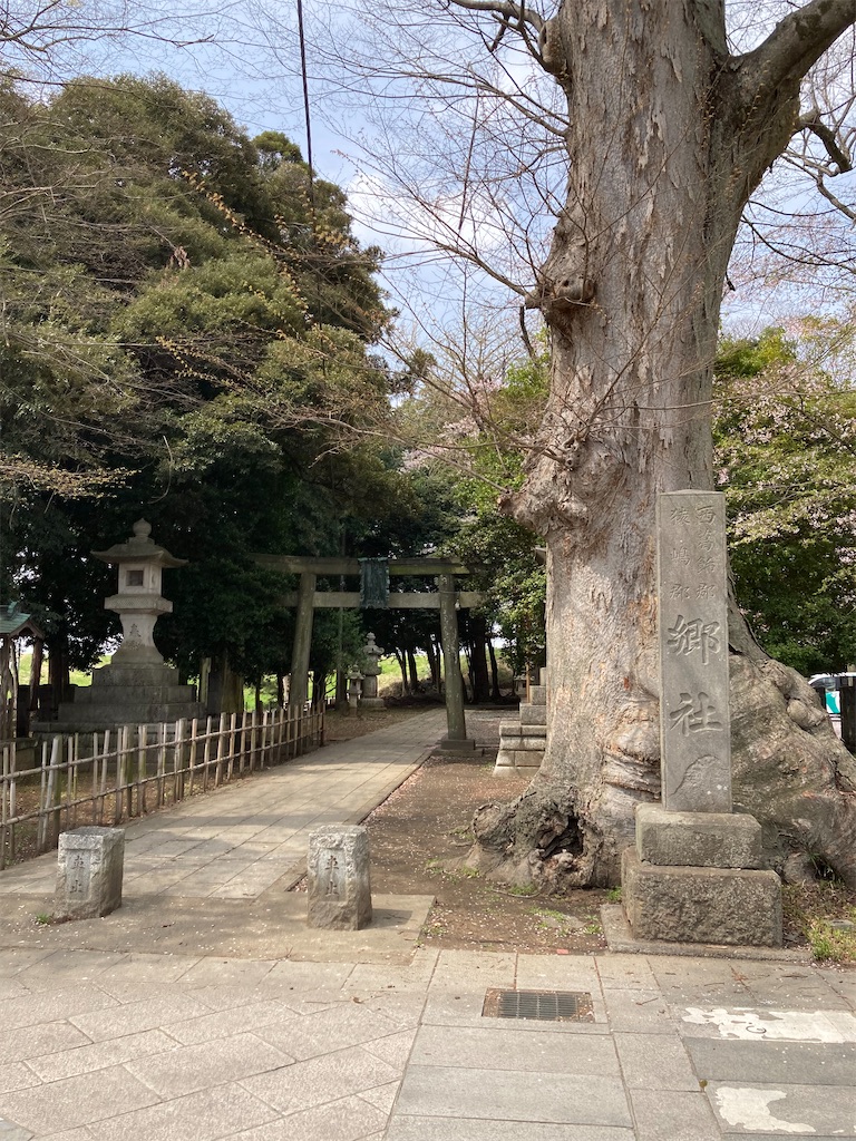 f:id:masaru-arameya:20220408210531j:image f:id:masaru-arameya:20220408210531j:image