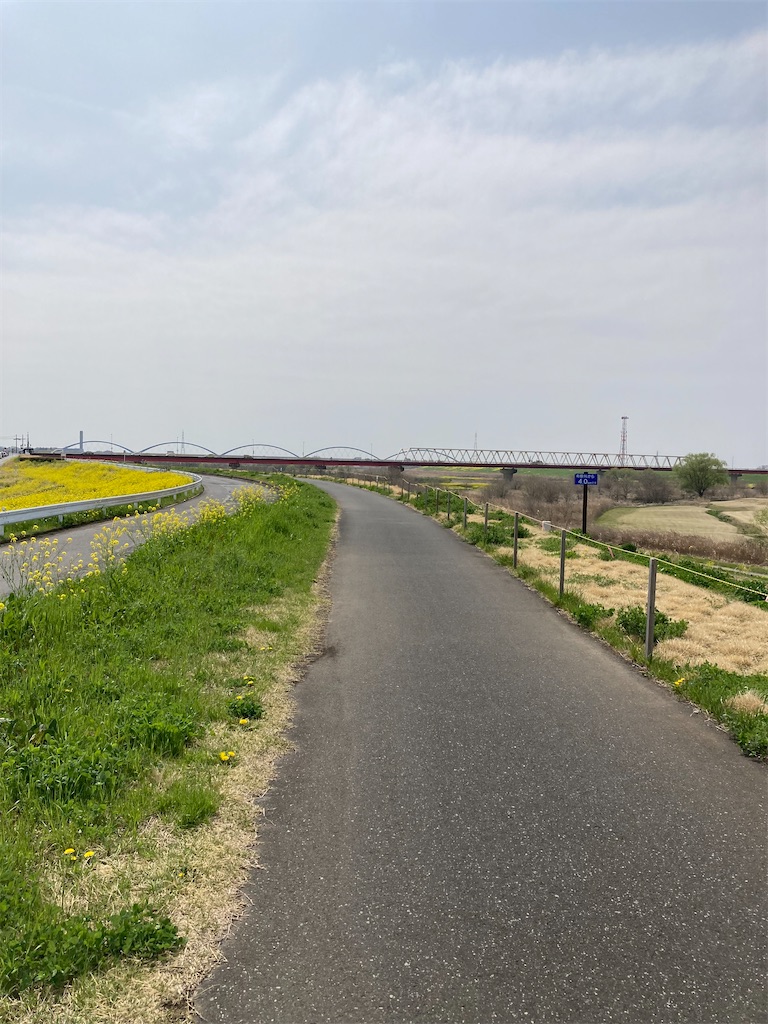 f:id:masaru-arameya:20220408210608j:image f:id:masaru-arameya:20220408210608j:image