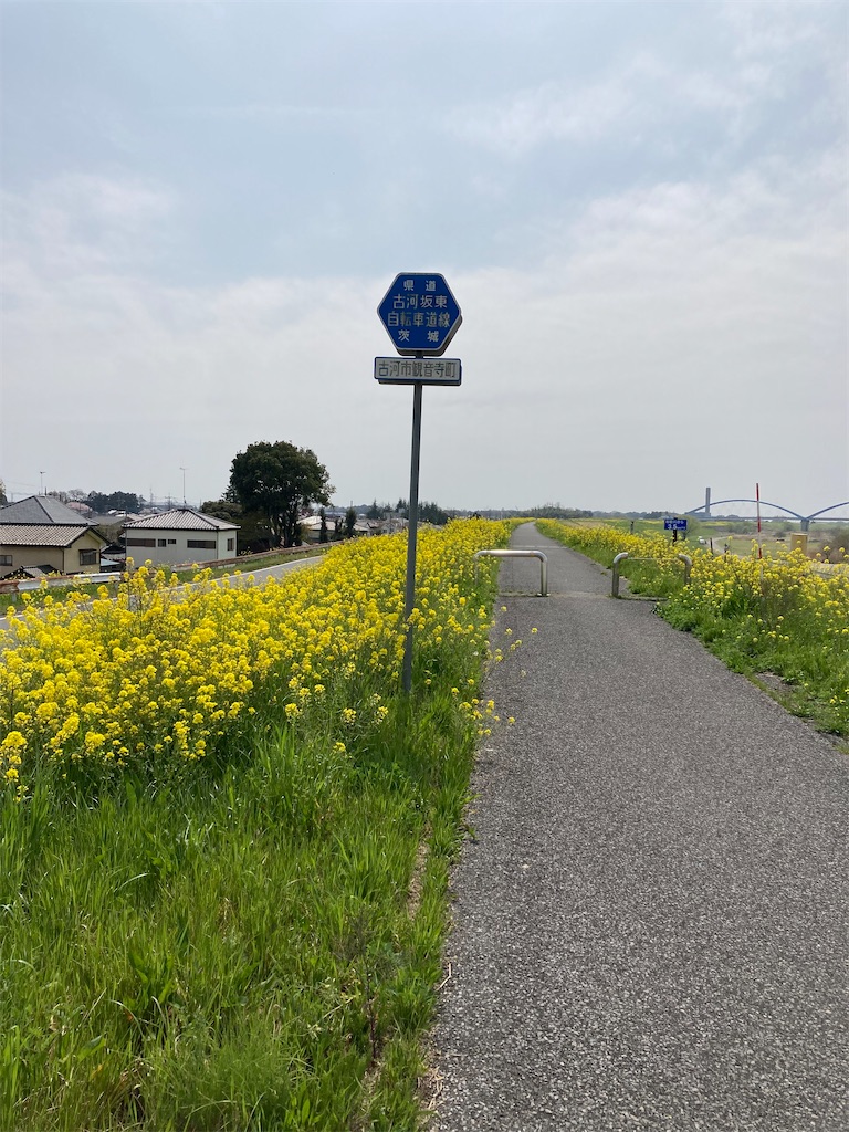 f:id:masaru-arameya:20220408210649j:image f:id:masaru-arameya:20220408210649j:image