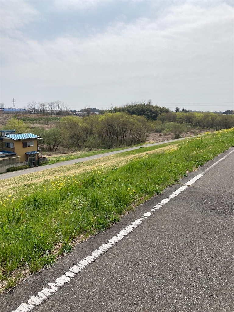 f:id:masaru-arameya:20220408210718j:image f:id:masaru-arameya:20220408210718j:image