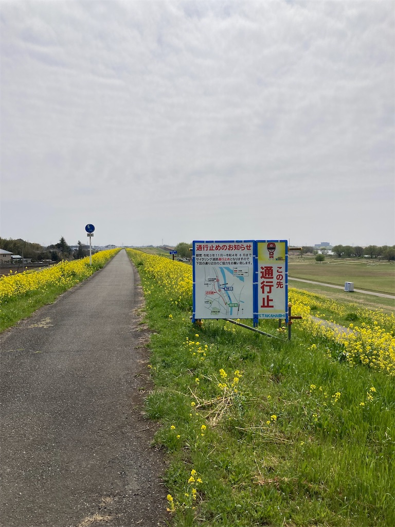 f:id:masaru-arameya:20220408210907j:image f:id:masaru-arameya:20220408210907j:image