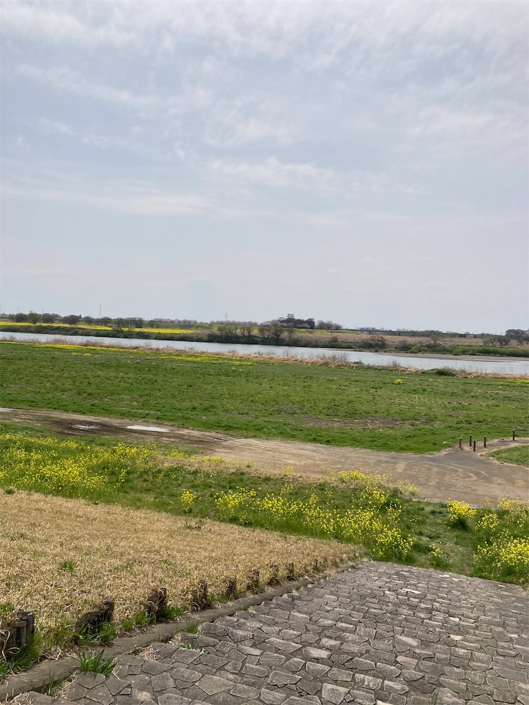 f:id:masaru-arameya:20220408211131j:image f:id:masaru-arameya:20220408211131j:image