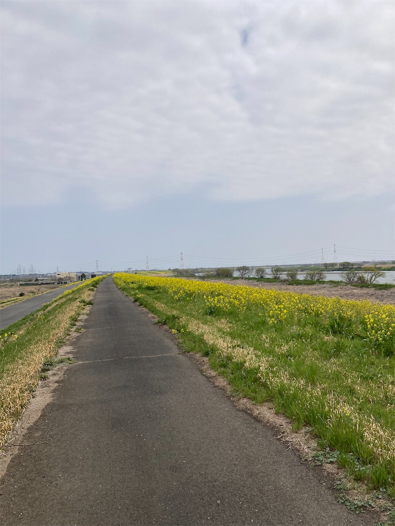 f:id:masaru-arameya:20220408211134j:image f:id:masaru-arameya:20220408211134j:image