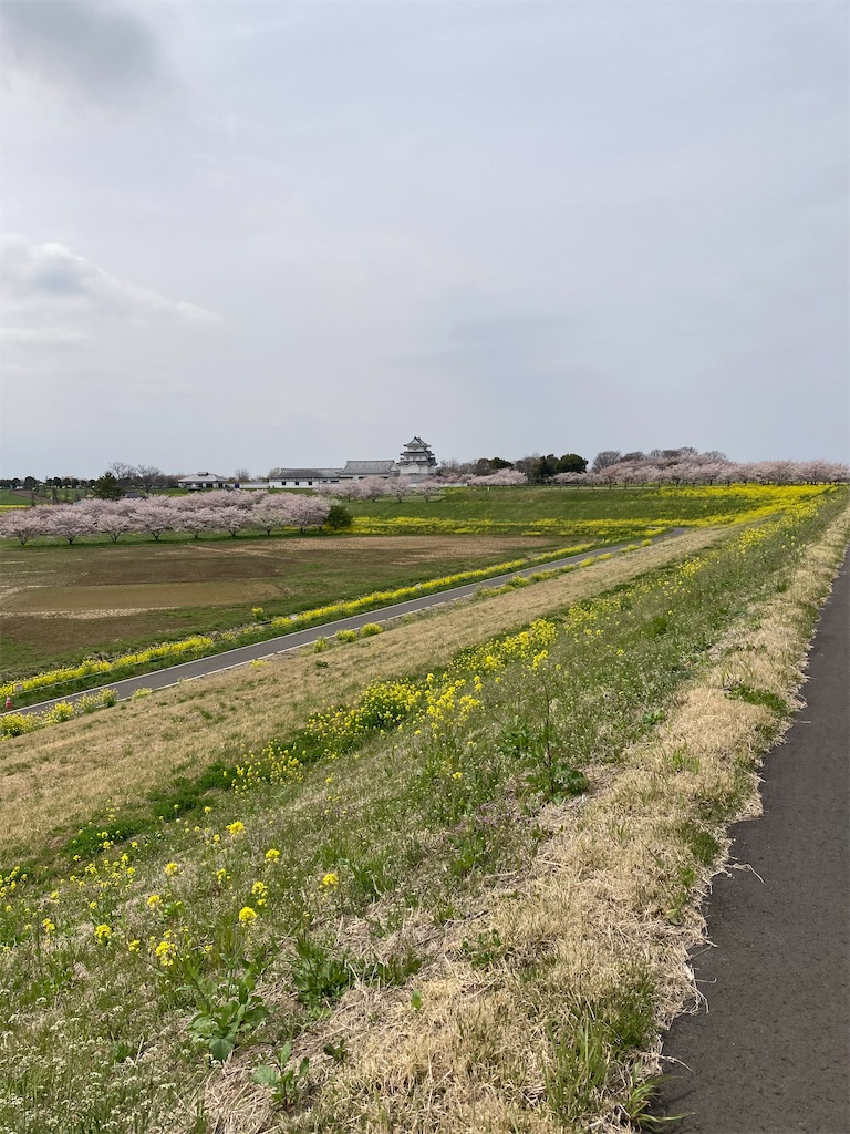 f:id:masaru-arameya:20220410061406j:image f:id:masaru-arameya:20220410061406j:image