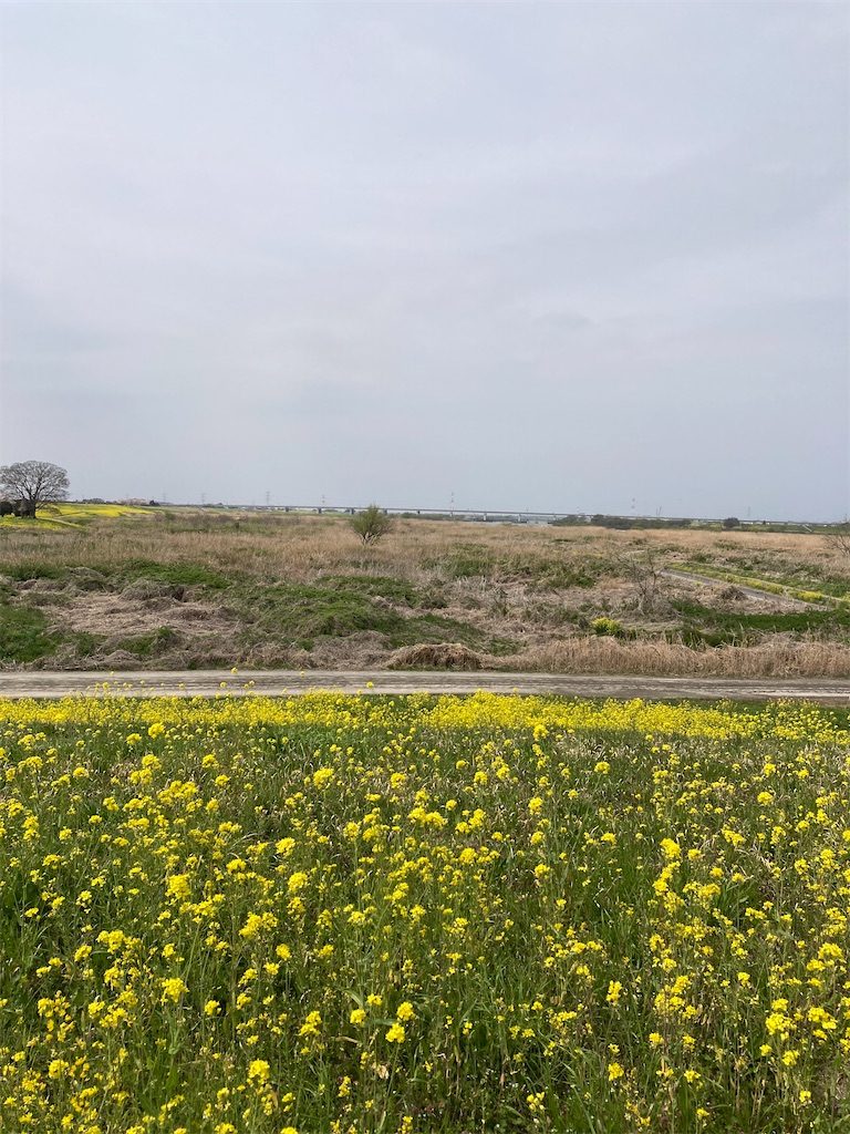 f:id:masaru-arameya:20220410061450j:image f:id:masaru-arameya:20220410061450j:image