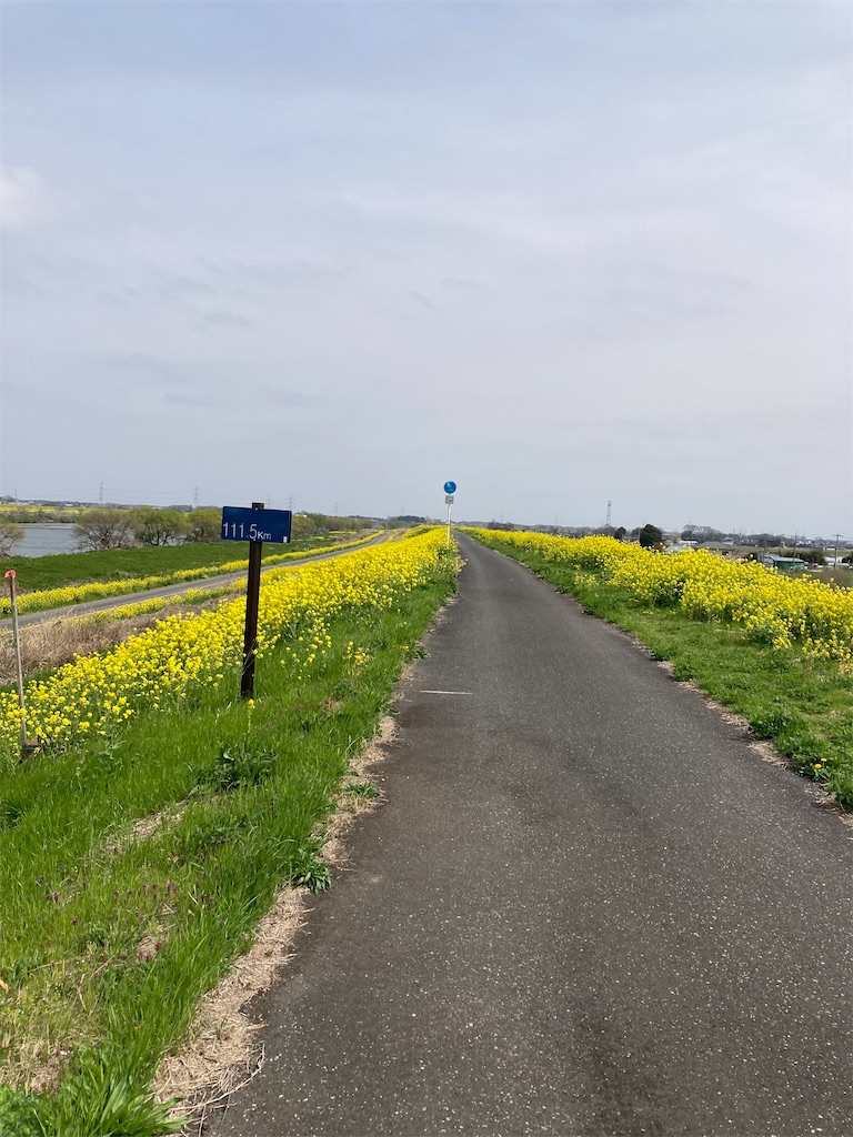 f:id:masaru-arameya:20220410061654j:image f:id:masaru-arameya:20220410061654j:image