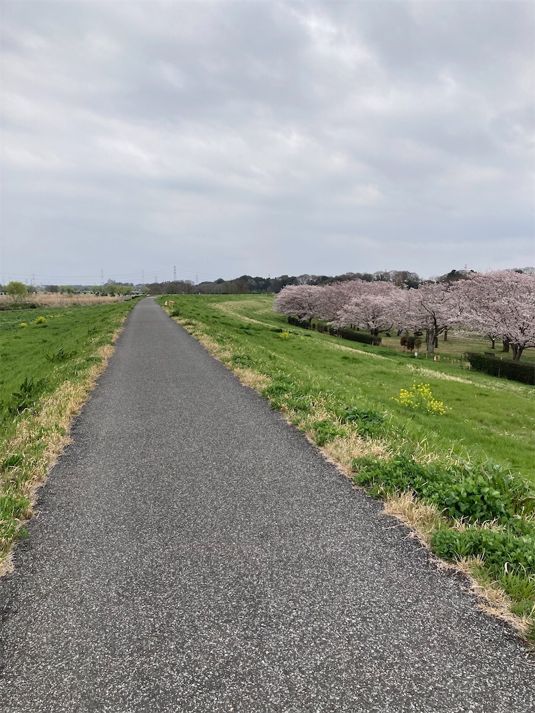 f:id:masaru-arameya:20220410061946j:image f:id:masaru-arameya:20220410061946j:image