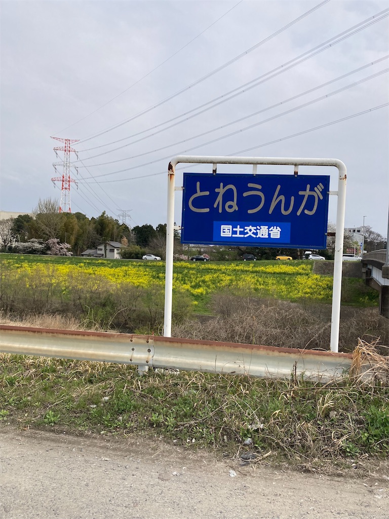 f:id:masaru-arameya:20220410062328j:image f:id:masaru-arameya:20220410062328j:image