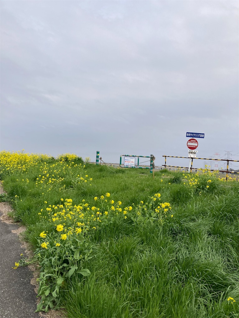 f:id:masaru-arameya:20220410062331j:image f:id:masaru-arameya:20220410062331j:image