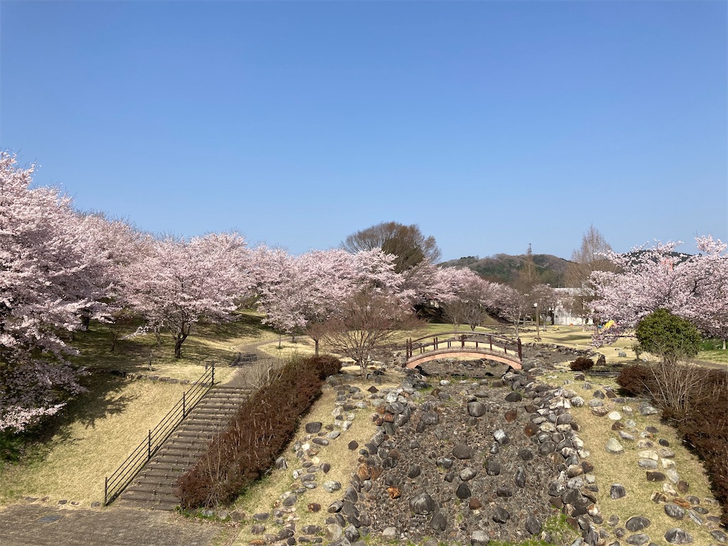 f:id:masaru-arameya:20220411072758j:image f:id:masaru-arameya:20220411072758j:image