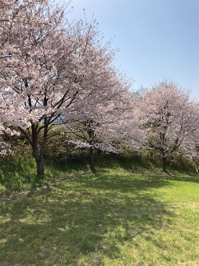 f:id:masaru-arameya:20220411072804j:image f:id:masaru-arameya:20220411072804j:image